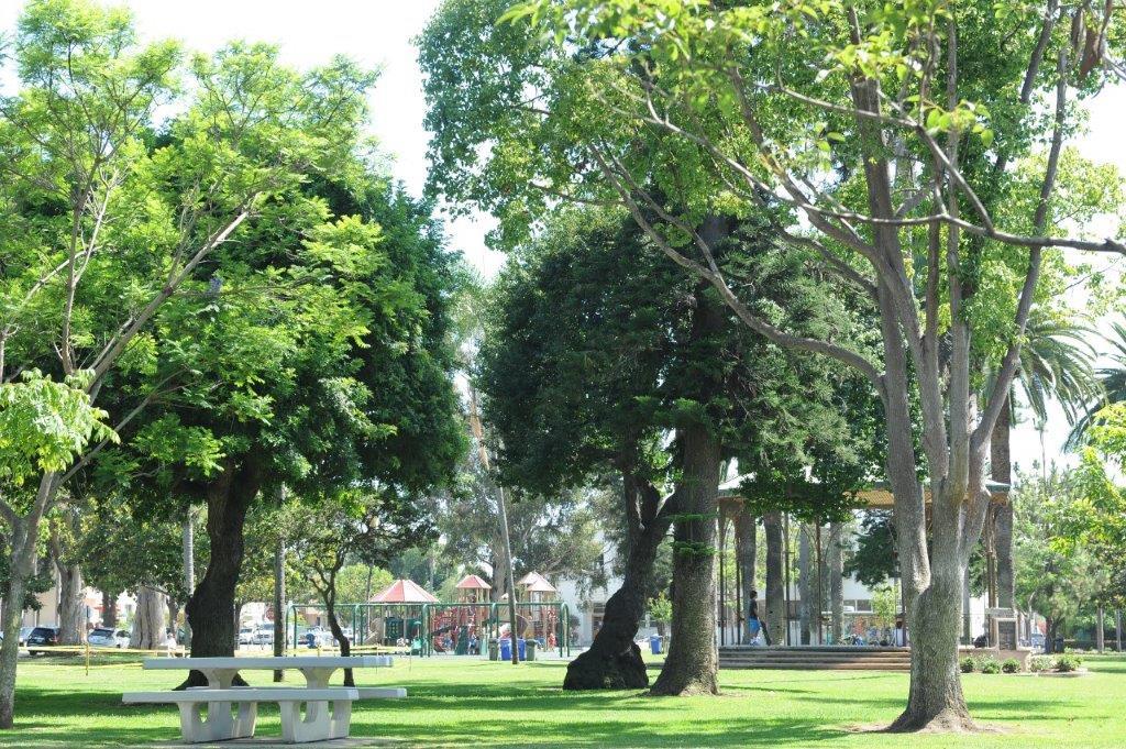 Jam out with the Coronado Summer Concert Series! Crown City Inn & Bistro